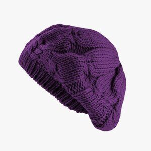 NWOT Purple Cozy and Warm Knit Beret